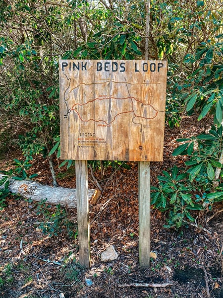Pink beds loop trail pisgah wooden trailhead sign with map