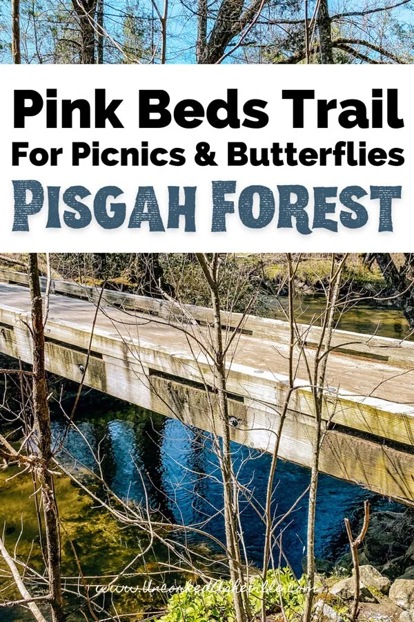 Pink Beds Trail Loop NC Pinterest Pin with wooden bridge over still water