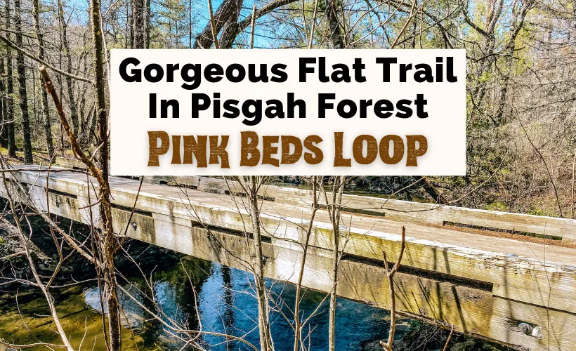 Pink Beds Trail Loop Pisgah National Forest with picture of bridge over water along the trail