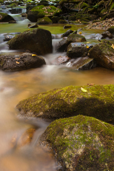 Pisgah National Forest North Carolina flowing stream with rocks