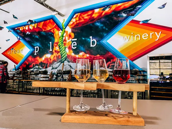 pleb urban winery Asheville NC with bright mural logo and wine flight with red, pink, and orange wine