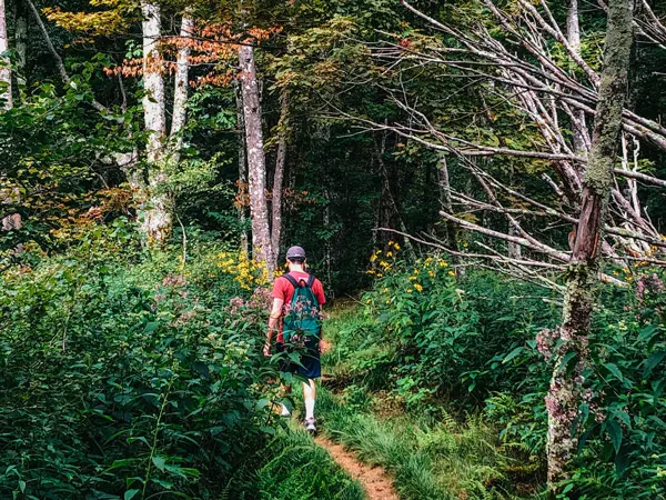 Big Butt Trail BRP North Carolina with white brunette male in a red shirt with green backpack walking along a trail surrounded by green brush, trees, and wildflowers