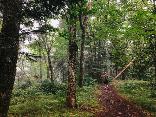 Dense Forest Little and Big Butt Trail NC with white brunette male with green backpack and red shirt walking down trail surrounded by trees