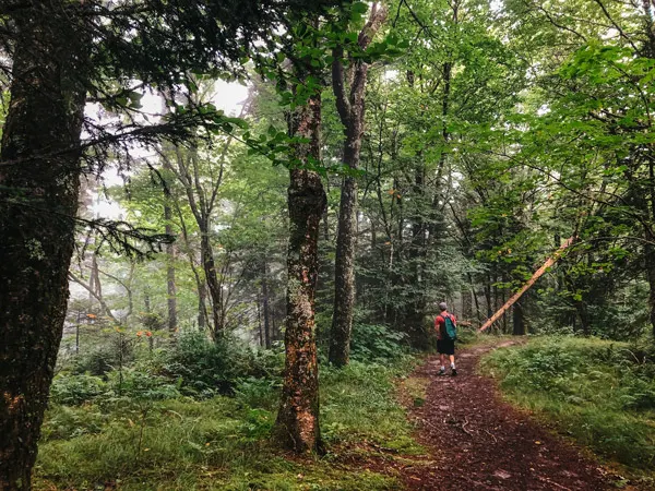 Dense Forest Little and Big Butt Trail NC with white brunette male with green backpack and red shirt walking down trail surrounded by trees
