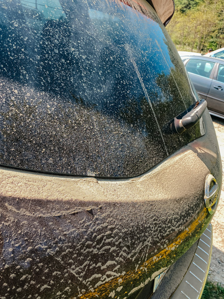 Dirty garnet-colored Car at  Max Patch North Carolina