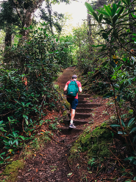 Forest stairs at Little Butt Big Butt Trail with white brunette male in red shirt and green backpack walking up them surrounded by forest