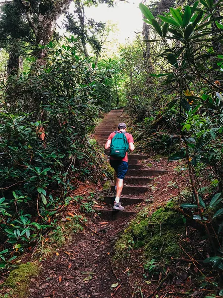 Forest Stairs Little Butt Big Butt Trail with white brunette male in red shirt and green backpack climbing brown steps