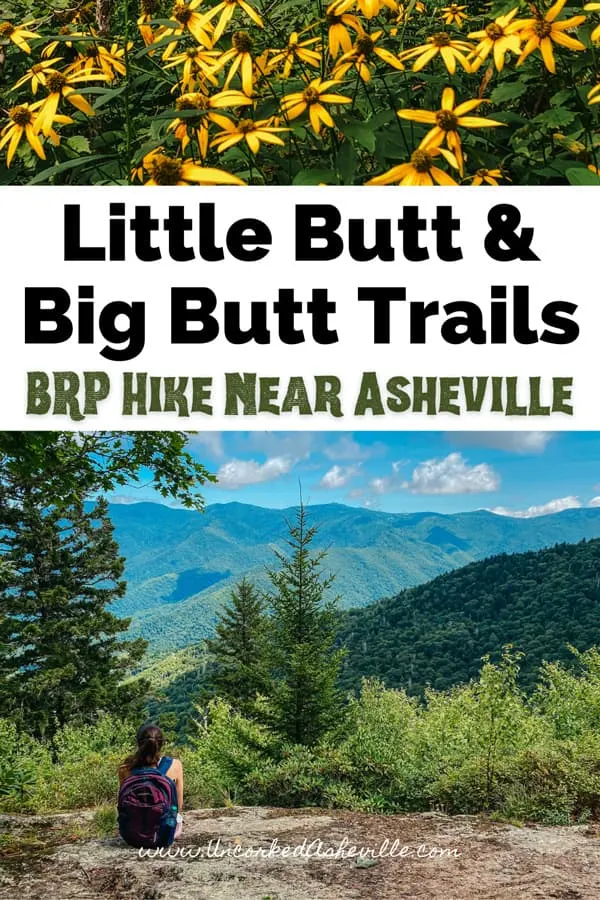 Little And Big Butt Trail Hike Near Asheville Pinterest Pin with yellow wildflowers and white brunette woman sitting on rock looking out at Black Mountains and Mount Mitchell