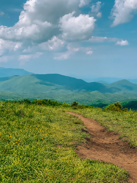 Trail at Max Patch