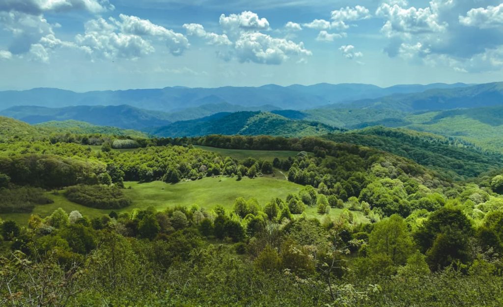 Max Patch hike view from summit with green grass and blue mountains