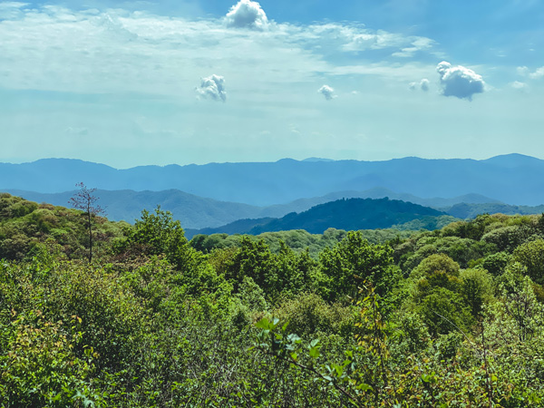 Max Patch Trail Hot Springs with blue mountains and green trees