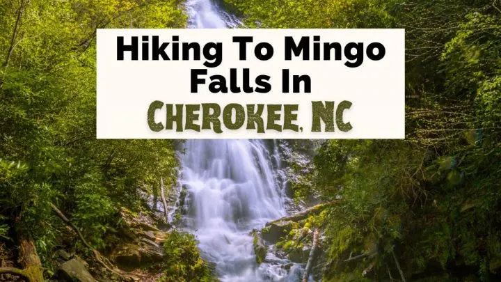 Mingo Falls Cherokee NC with waterfall surrounded by green brush
