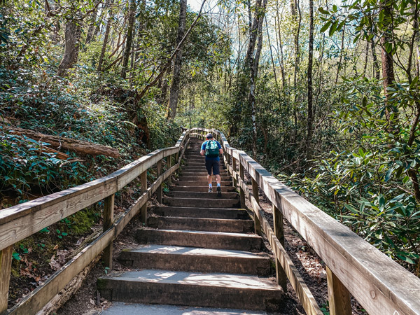 Mingo Falls Hike Stairs with white male wearing a green backpack climbing them