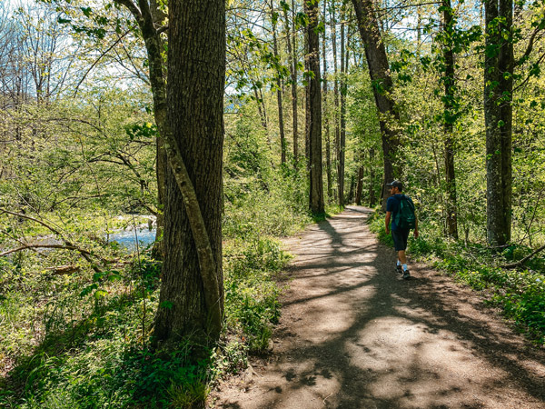 Tom on the Oconaluftee River Trail