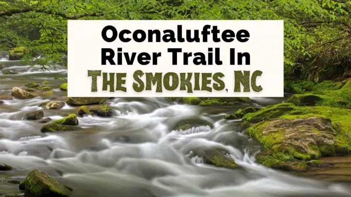 Oconaluftee River Trail North Carolina with small river rapids