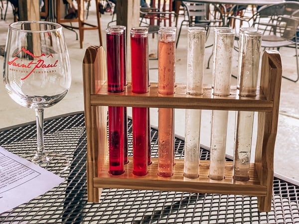 Saint Paul Mountain Vineyards Hendersonville NC wine testing with test tubes filled with white, red, and pink wine and empty wine glass
