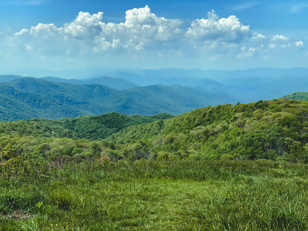 Views along Appalachian Trail Max Patch Mountain Summit with blue mountains and green trees