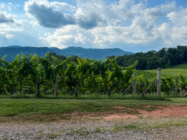 Addison Farms Vineyard with Blue Ridge Mountains