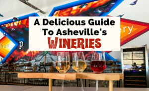 Asheville wineries and wineries near Asheville with logo and vibrant Gus Cutty mural