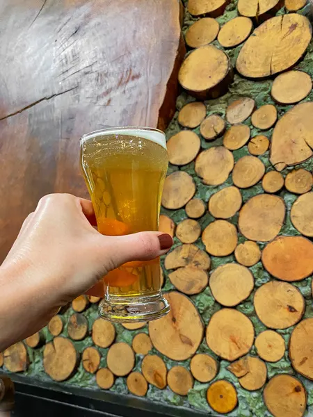 Bhramari Brewing Company Asheville NC with white hand and painted nails holding up 5 oz yellow beer against wall
