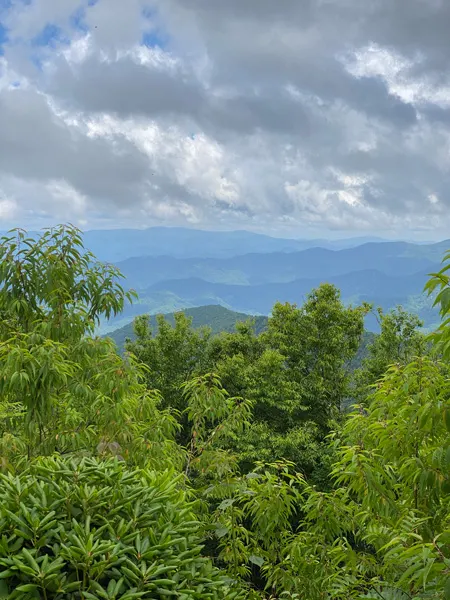 Craggy Flats At Craggy Garden Hike with picture of green trees overlooking Blue Ridge Mountains with cloudy and stormy sky