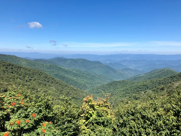 Craggy Gardens hike Blue Ridge Parkway NC with blue and green mountains and tiny red flowers