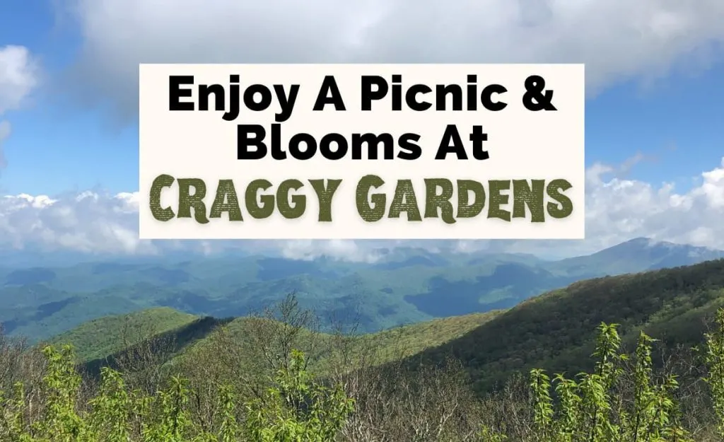 Craggy Gardens Trail Hike NC with picture of Blue Ridge Mountains and clouds with green grass