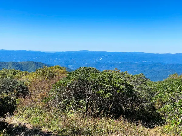 Craggy Gardens bald with blue mountains and shrubbery