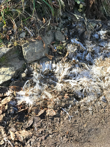Craggy Pinnacle Trail in winter with ice along the dirt trail