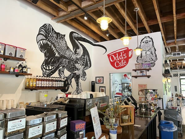 Odd's Cafe Coffee Shop in Asheville, North Carolina with dinosaur wall mural, coffee and baked good counter, and sloth like mural holding red cup that says Odd's Cafe