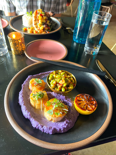 Scallops on top of purple puree with grilled lemon garnish and beans at RosaBees Restaurant Asheville, NC