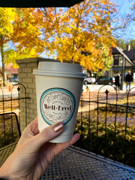Well Bred Bakery Cafe Asheville coffee with take away cup in front of fence and fall foliage in Biltmore Village