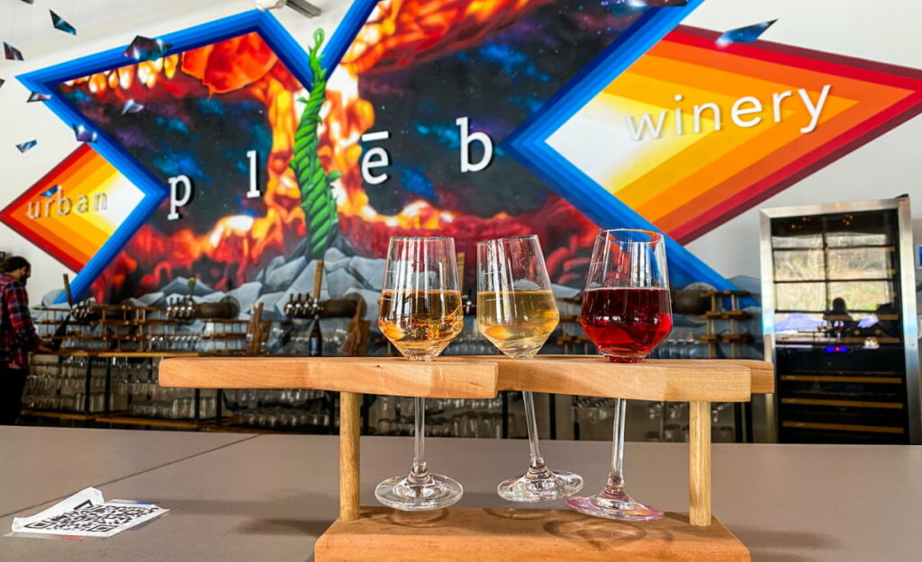 Wineries Near Asheville Featured Image of pleb flight