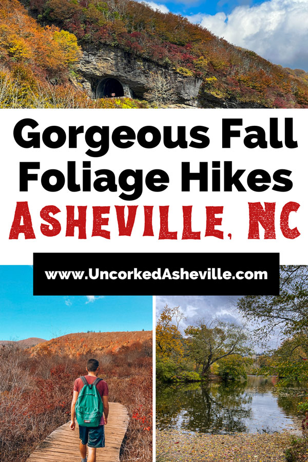 Gorgeous Fall Hikes Asheville NC Pinterest pin with URL of website, image of Blue Ridge Parkway tunnel with fall leaves around it, image of white brunette male with green backpack walking boardwalk surrounded by red and orange trees at Graveyard Fields, and image of Biltmore Lagoon surrounded by fall trees with Biltmore House in the background