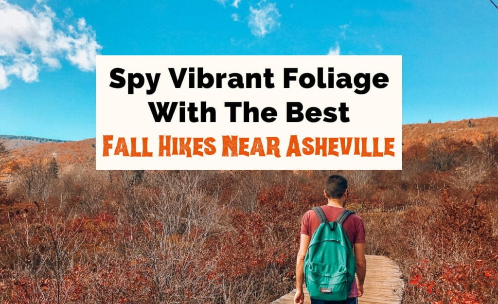 Spy Vibrant Foliage with the Best Fall Hikes Near Asheville text with image of white brunette male in red shirt with green backpack walking along a boardwalk at Graveyard Fields surrounded by red and orange fall foliage.