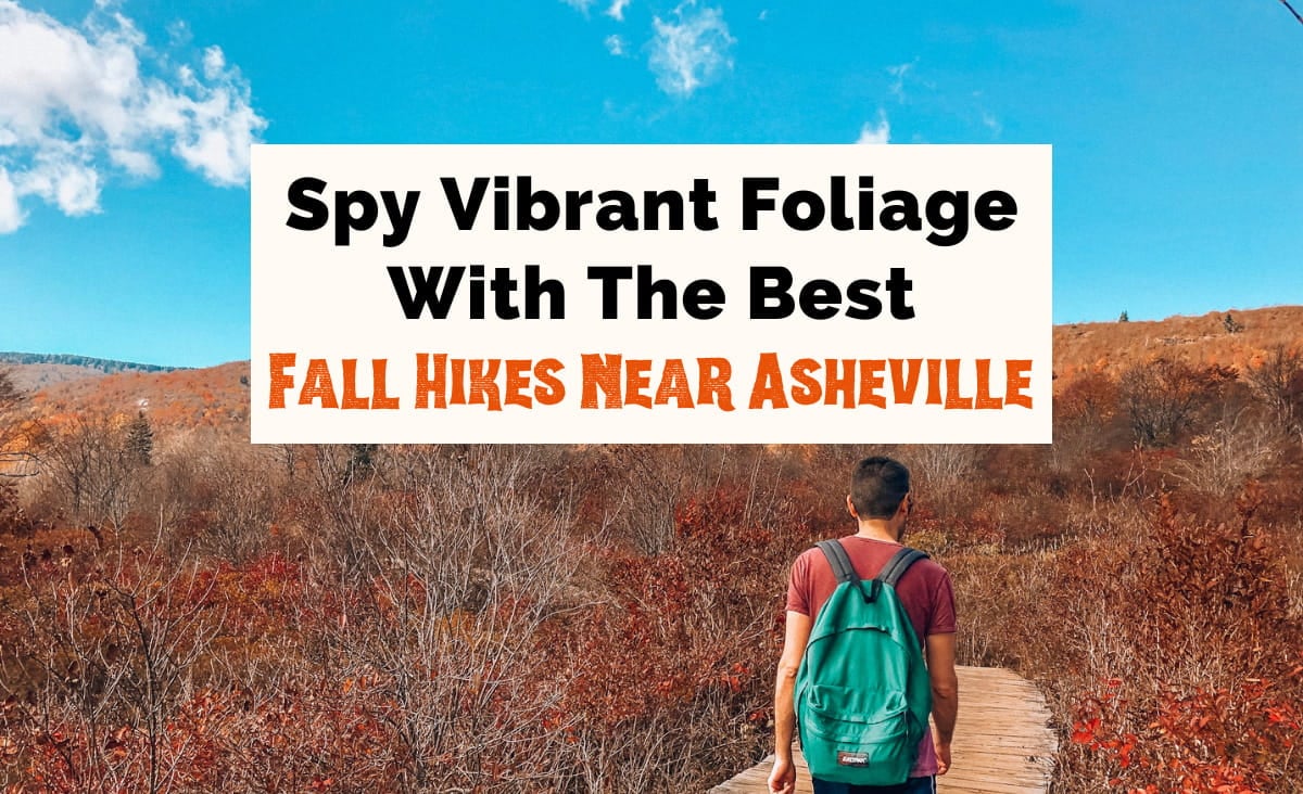 14 Gorgeous Fall Hikes Near Asheville For Top Foliage