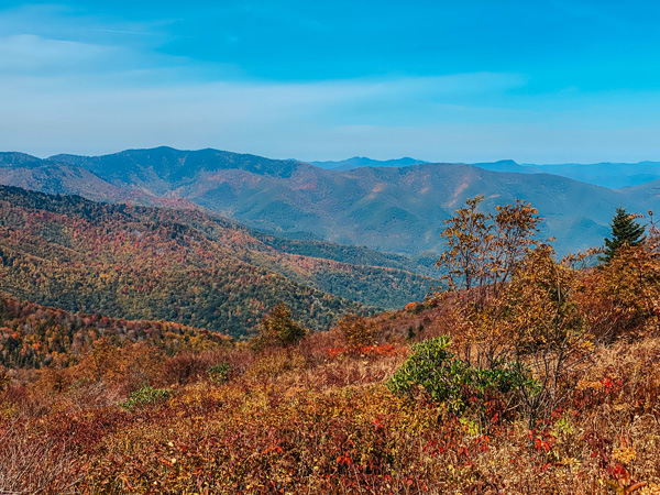 Black Balsam Via Art Loeb Trail Blue Ridge Parkway with Blue Ridge Mountains during fall foliage with reds, greens, and oranges