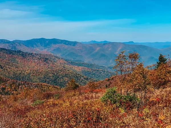 Black Balsam Via Art Loeb Trail Blue Ridge Parkway with Blue Ridge Mountains during fall foliage with reds, greens, and oranges