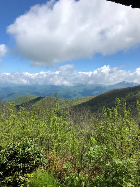 Craggy Gardens Blue Ridge Parkway Asheville with Blue Ridge Mountains, blue sky, and fluffy clouds