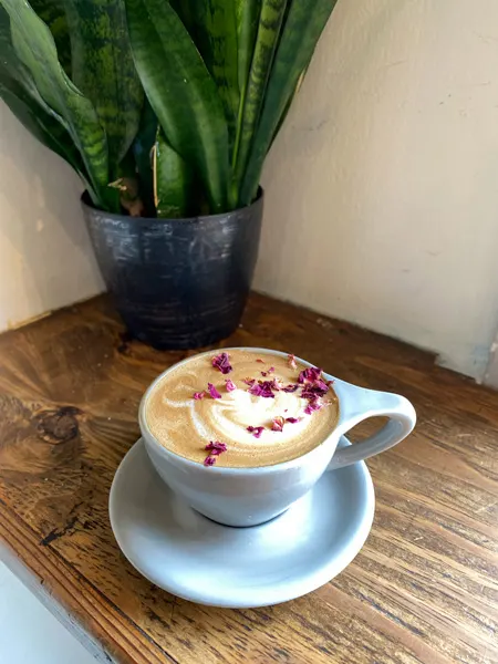 Dripolator Coffeehouse Black Mountain NC Latte with pink rose dried rose petals on top in blue cup sitting on wooden table with plant in background