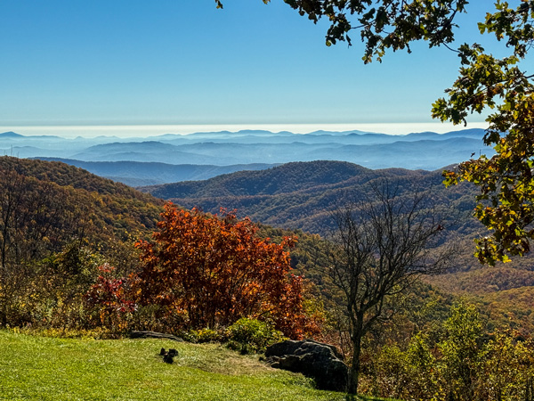 Blue Ridge Mountain Views at Pisgah Inn