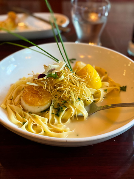 Scallops and pasta dish from Glass Onion Restaurant in Weaverville, NC with fettuccine, lemon and oil sauce, green garnish, and scallops 