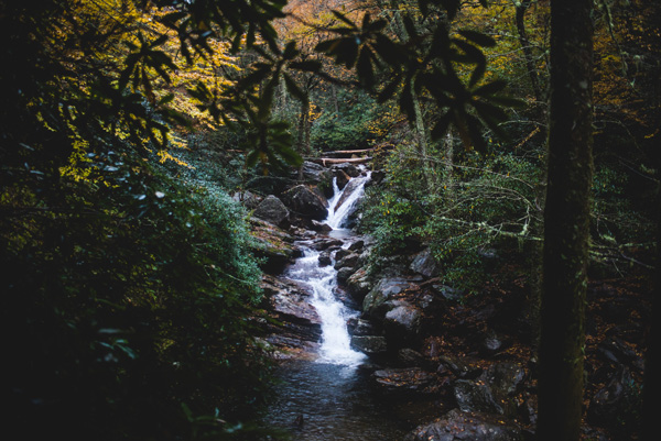 Skinny Dips Falls Blue Ridge Parkway North Carolina with waterfall surrounded by tropical looking trees