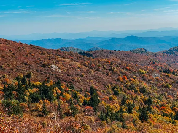 Asheville Fall Colors Blue Ridge Parkway with red, yellow, and orange leaves with blue mountain ridges
