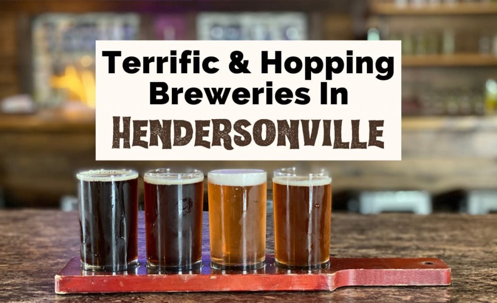 Best Breweries In Hendersonville NC with flight of beer with bar in background from Triskelion Brewing