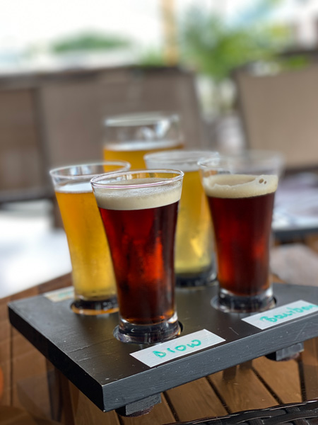 Flight Hendersonville Beer Guidon Brewing Company with guidon shaped flight board and two dark beers and two light beers