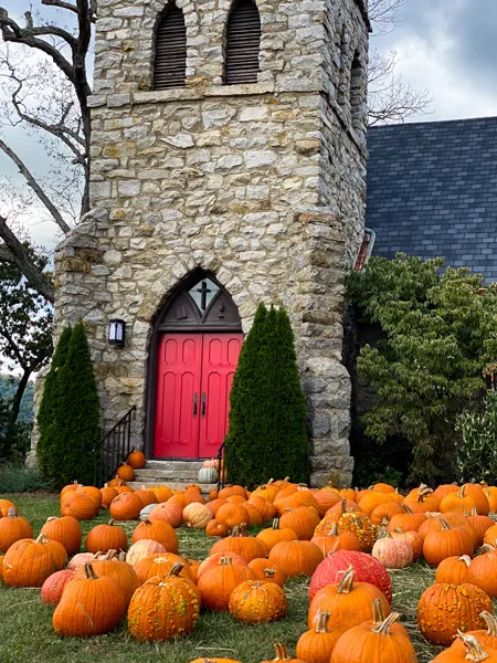 Grace Episcopal Church Asheville Pumpkin Picking with orange pumpkins on a hill outside a gothic looking church with red door