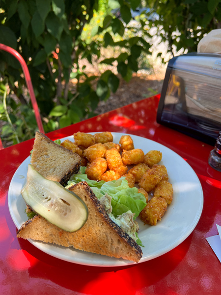 All Day Darling Asheville NC chicken salad sandwich with gluten free bread and tater tots on white plate and red table