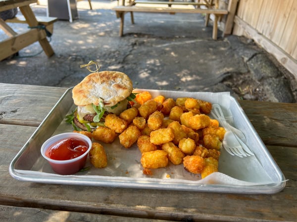 Haywood Common Gluten Free Burger Lunch Asheville with tater tots and side of ketchup on tin plate