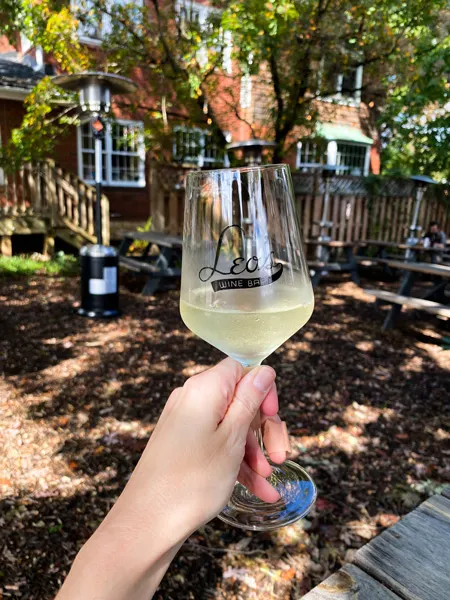 Leos House Of Thirst Wine Bar West Asheville with picture of white hand holding up white wine on patio